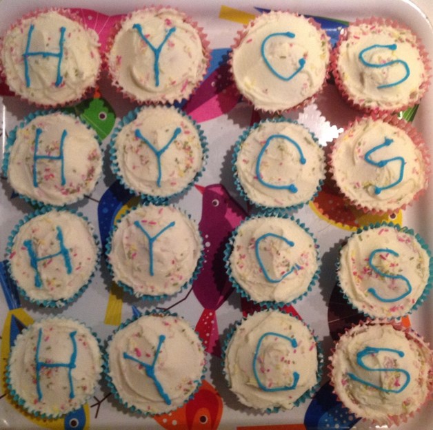Hycs Cakes 1